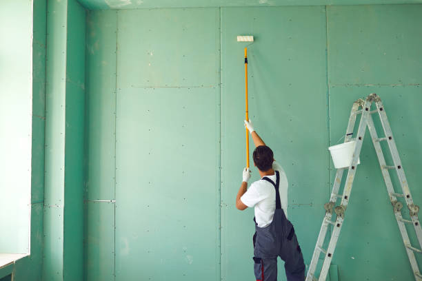 Best Airborne Mold Testing  in Leilani Estates, HI