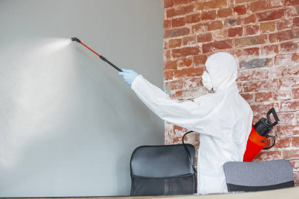 Best Indoor Air Quality Assessment  in Leilani Estates, HI