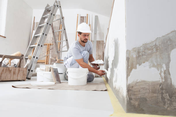 Best Industrial Mold Remediation  in Leilani Estates, HI