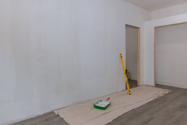 Best Black Mold Removal  in Leilani Estates, HI