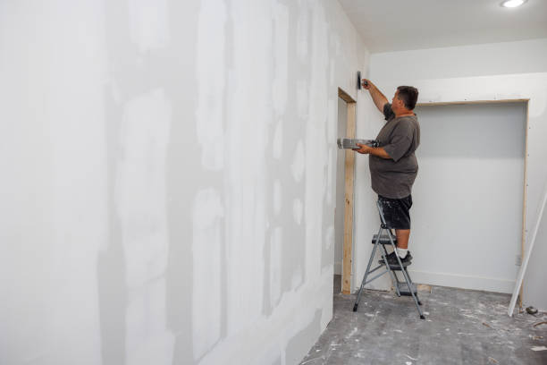 Best Crawl Space Mold Remediation  in Leilani Estates, HI