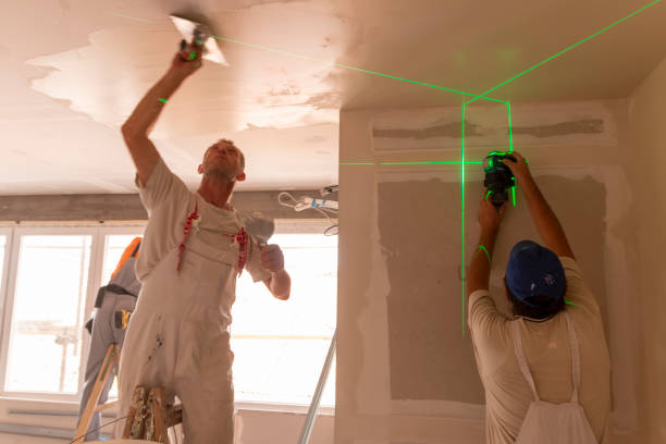 Best Post-Construction Mold Inspection  in Leilani Estates, HI
